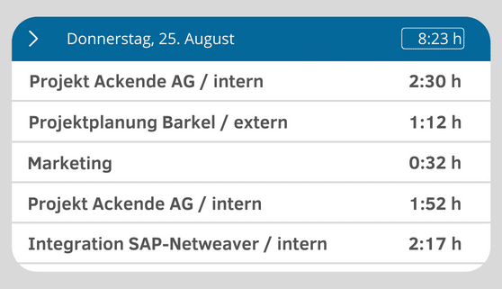 Eine digitale Übersicht der erfassten Arbeitszeiten für verschiedene Projekte in der Arbeitszeiterfassung im Außendienst.