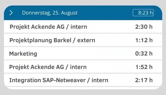 Detaillierte Zeiterfassung für IT-Dienstleister zeigt erfasste Stunden für interne und externe Projekte.